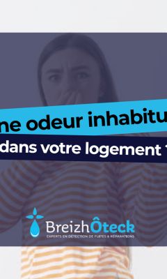 Une odeur inhabituelle dans votre logement : et si elle révélait un problème invisible ?nhabituelle dans votre logement : et si elle révélait un problème invisible ?